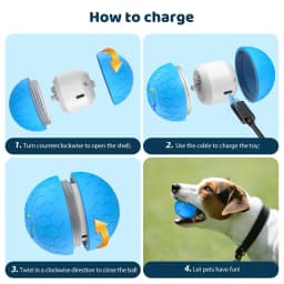 Smart Dog Toy Ball Electronic Interactive Pet Toy Ball USB Automatic Bouncing Rolling Toy Ball With RGB Lights Puppy Cat Product
