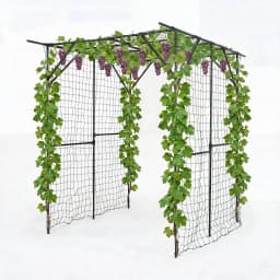78in Metal Garden Arch Trellis With Netting For Climbing Plants, Outdoor Cucumber Tunnel Arbor For Raised Bed Backyard Walkway