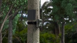 TMEZON 4G LTE Wildlife Camera with Mobile Phone Transfer App, 2.7K Solar Hunting Camera with SIM Card, PIR Motion Sensor, Night Vision NO SD CARD
