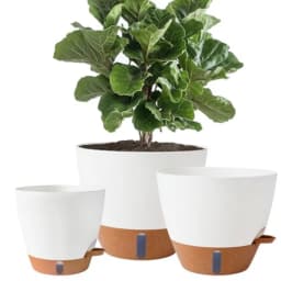 8/10/12 Inch Self Watering Pots for Indoor/Outdoor Plants