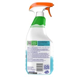 Shout Gentle Fabric & Laundry Stain Remover Spray Fragrance & Dye Free 22 Fl Oz