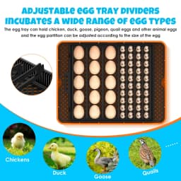 25 Egg Incubator for Hatching Eggs,Automatic Egg Turning and Humidity Control, with Automatic Water Serving,360° View Poultry Incubator for Hatching Chicken Duck Quail Parrot