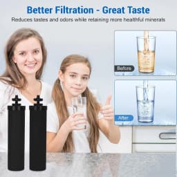 NSF/ANSI 42 Certified Black Purification Elements, for Water Filters Replacement