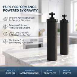 NSF/ANSI 42 Certified Black Purification Elements, for Water Filters Replacement