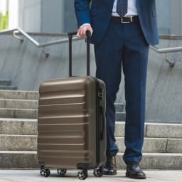 Hardshell ABS Luggage Set, 24-Inch Checked Suitcase with Spinner Wheels, Lightweight Travel Luggage with 2 Packing Cubes for Men & Women