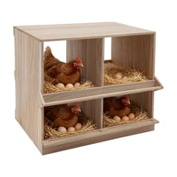 4-Piece Wooden Chicken Egg-Laying Nesting Boxes - In Natural Wood Color Chicken Nesting Box, 4 Compartment Wooden Nesting Boxes for Chickens with Perches, Floor Mount Chicken Nesting Boxes for Homes Farms Chicken Houses Backyards Courtyards