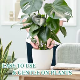 8PCS indoor plant stem support clips for Monstera, metal alloy with black matte finish, rust-resistant and adjustable for flexi