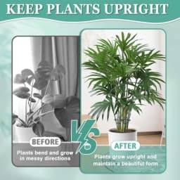 8PCS indoor plant stem support clips for Monstera, metal alloy with black matte finish, rust-resistant and adjustable for flexi