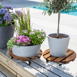 2Pack 12'' Wood Plant Caddy Rolling Plant Stand with 2 Lockable 360° Caster Wheels Indoor Outdoor Patio Flower Pot Succulent Pots Duty