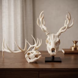 Spooky Halloween Decoration Mythological Beast & Real Elk Skull 2-Piece Statue Ornament Set, High Precision 3D Printed Folk Art Collectible, Perfect for Collection for Gothic Study Desk Decor, Quirky Humorous Holiday Gift for Skull Fans