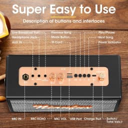 Karaoke Machine, Retro-Styled Portable Speaker with 2 Wireless Microphones, Bluetooth/AUX/USB/TF/TWS Connectivity, Home Party Entertainment for Adults and Kids, Ideal Gift for Women and Girls