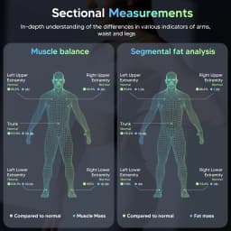 Arboleaf 8-Electrode Smart Body Fat Scale with Handle, Full Body Composition Analyzer, 50+ Body Metrics, Segmental Analysis, 7-in-1 LED Display, APP Sync