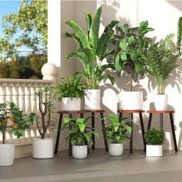 2-Pack Wood Plant Stands Indoor, 16.7" Tall Plant Stand Outdoor Mid-Century Plant Stool, Single Plant Table Modern Small Round Side/End Table for Living Room, Balcony, Office(Brown)