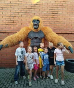 2.6M Inflatable KingKong Costume Gorilla Mascot Parade Adult Character Cosplay Birthday Halloween Party Event Plush Set