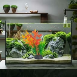 4PCS 4 Inches Tall Seaweed Grass Artificial Aquarium Plants for Freshwater and Saltwater Tanks, Plastic, Green Orange, Realisti
