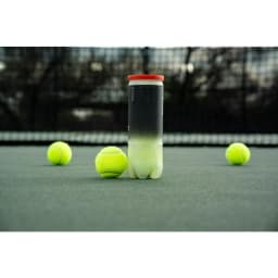 (2 pack) Regular Duty Tennis Balls (1 can, 3 balls)