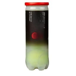 (2 pack) Regular Duty Tennis Balls (1 can, 3 balls)