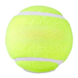Tennis Balls, 2 Count