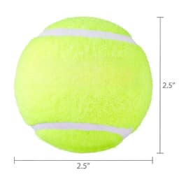 Tennis Balls, 2 Count