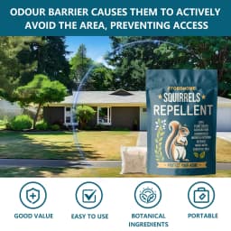 Outdoor Squirrel Repellent, Attic Squirrel Deterrent, Chipmunk Repellent, Squirrel Repeller, Garden Chipmunk Deterrent, Squirrel Repellent, Keep Squirrels Out of Garage - 10 Pack