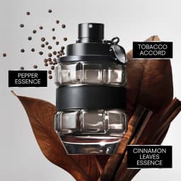 Viktor and Rolf Spice Extreme EDP for Men 3.0 Fl Oz Warm Woody Spicy Fragrance with Cinnamon Saffron Heart and Vanilla Woody Amber Base Ideal Gift for Husband Boyfriend Anniversary Birthday