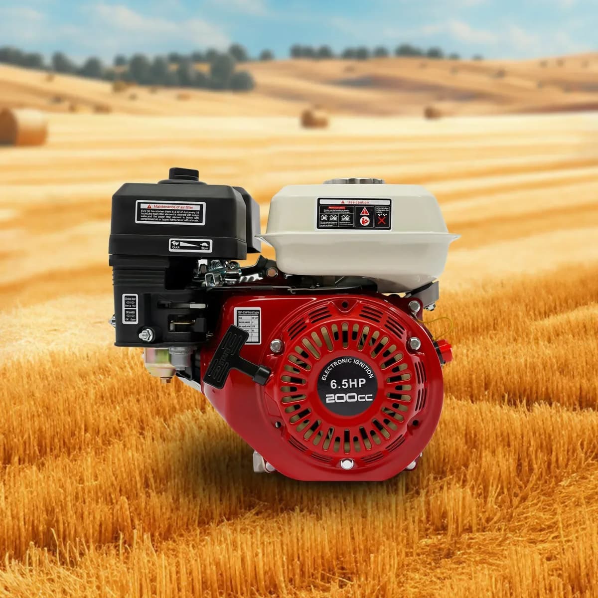 6.5HP Gas Engine 200cc 4-Stroke OHV Air Cooling 3600rpm Gasoline Engine For Honda GX160