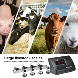 10,000 lb Precision Livestock Scale Kit, Heavy Duty Floor Scale with 4 Two-Ton Load Cells – Digital Animal Weighing System for Cattle, Sheep, Horse with Junction Box