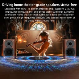 Docreate YS-T100W TPA3116 Bluetooth 5.3 Mono Amp with APP Control 12-24V Boost Mini Audio Amplifier For Outdoor PC Subwoofer US