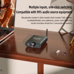 Docreate YS-T100W TPA3116 Bluetooth 5.3 Mono Amp with APP Control 12-24V Boost Mini Audio Amplifier For Outdoor PC Subwoofer US