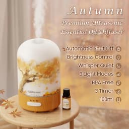 Essential Oil Diffuser Mini Aromatherapy Air Humidifier With 10ml Essential Oil, Hand Blown Glass Cover With Print, Auto Shut-Off, 3 Timer, Warm White Lights, 100ML Capacity Water Tank