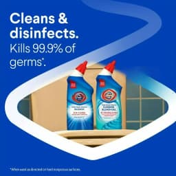 Toilet Bowl Cleaner w/Bleach, Rain Clean, 24 fl oz