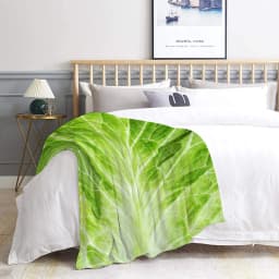 Cabbage Throw Blanket Lettuce Blanket Super Soft Fuzzy Plush Blanket for Gifts,Bedding Quilt Home Decor for Couch Sofa Bed All Season