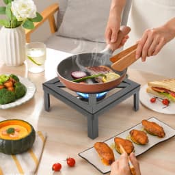 8000W High Power Camping Stove, Single Burner Cast Iron Portable Gas Cooker with Regulator Hose, for Outdoor Picnic BBQ RV