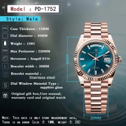 PAGANI DESIGN DD36 Men's Watches Rose Gold Luxury Automatic Watch For Men Mechanical Wristwatches Sapphire Mirror Clock Gift Man