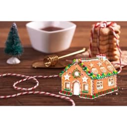 Christmas Cookie Cutter Set 10 PCS Stainless Steel Biscuit Cutters for 3D Gingerbread House Pastry Mold Red and Green