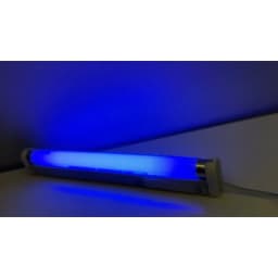 13'' BL T8 F10W Replacement Bulbs for Liba, Aspectek Black Blue Lighting Tube, 10Watt Linear F10T8/BL Fluorescent Lamps for 20W