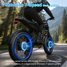 FLIWIN 3000W Dual Motors Electric Bike, 48V 35Ah Battery, 20" Fat Tire Ebike, 7-Speed with Dual Suspension, UL 2849, US Warehouse, 1 Year Warranty