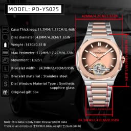 2026 New PAGANI DESIGN Tourbillon Men's Mechanical Watches Gold Luxury Automatic Watch For Men AR Sapphire Waterproof Luminous Hollow Stainless Steel Man Clock