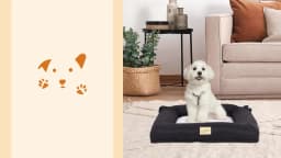 Portable Dog Car Seat Bed Pet Booster Car Seat Travel Carrier Seat with Clip-on Safety Belt Waterproof Basket Protector Cushion