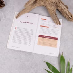 The Beginner's Bible Study Guide: An Introduction to All 66 Books of the Bible