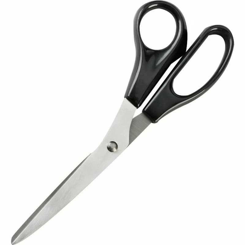 BSN65647, Stainless Steel Scissors, 1 Each, Black