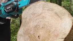 SEESII 40V 18Inch Brushless Chainsaw With Automatic Oiler 2200W Cordless Electric Saw Garden Woodworking Cutting Tool For Makita 18v Battery Pin