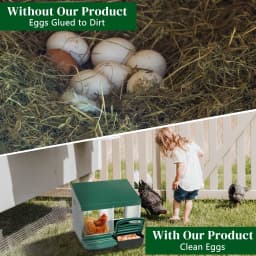 2 Hole Metal Heavy Duty Chicken Coop Nesting Box with Lid Cover to Protect Eggs