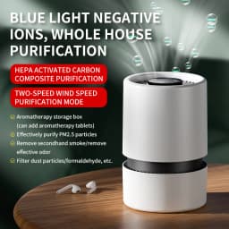 Portable Air Purifier HEPA Activated Carbon Composite Filter Blue Light Negative Ion 2 Speed Touch Control USB Type-C Quiet Night Mode Aroma Tank