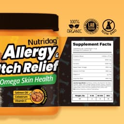 NUTRIDOG Dog Allergy Itch Relief Chews Omega-3 Vitamin C Support Skin For Dog Immune Health Supplement Nutrition 90 PCS/Bottle