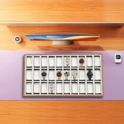 30 Compartments Watch Box, Display Case Organizer, Jewelry Storage Case, for Necklaces, Earrings, Rings