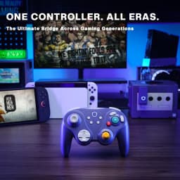 NYXI Warrior Lite Controller for Switch 2, Hall Effect Joystick Wireless Gamepad for Switch OLED/PC, Micro Switch ABXY Buttons