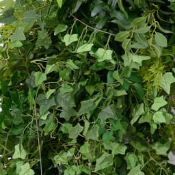 Mori Greenery Plants Leaves Flower Row Wedding Backdrop Decor Arch Floral Arrangement Window Display Banquet Event Props A8872