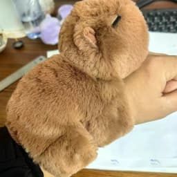 Cute Capybara Bracelet Wrist Lying Down Doll Capybara Doll Snap Ring Cute Plush Toy Ugly Doll