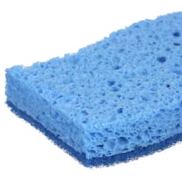 Non-Scratch Scrub Sponges, 4 Count